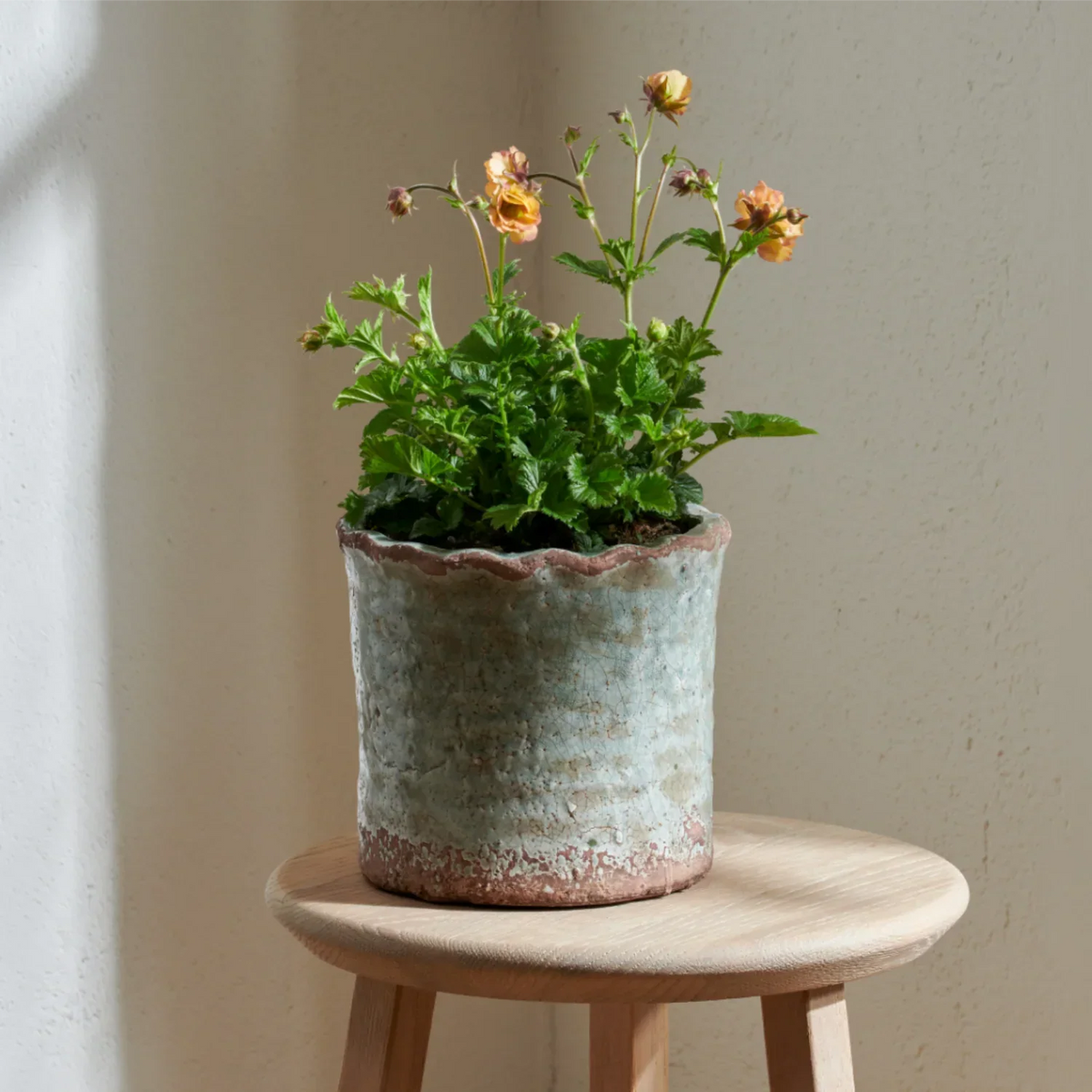 Broseley Small Pot, Moss