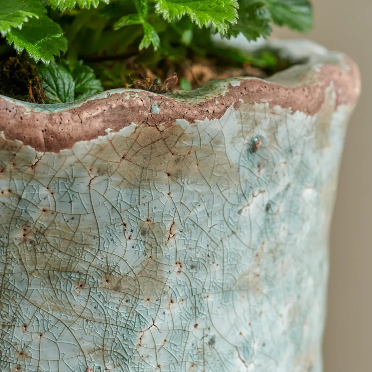 Broseley Small Pot, Moss