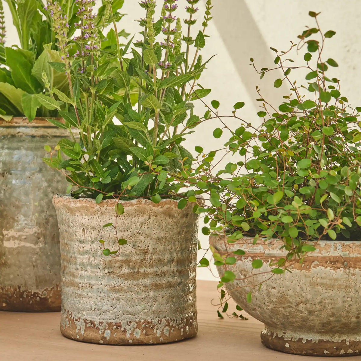 Broseley Small Pot, Moss