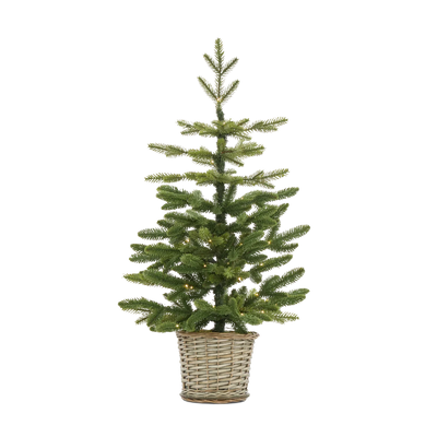 Normand Tabletop Pre-lit Christmas Tree, Tall