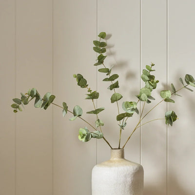 Eucalyptus Spray, Green