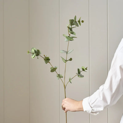 Eucalyptus Spray, Green